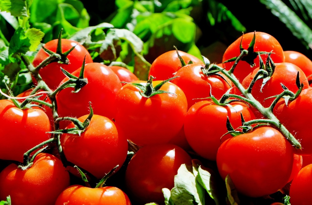 Pomidorai žiemai | Daržas
