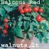 Balconi Red