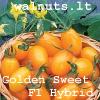 Golden Sweet F1 Hybrid