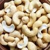 Anakardi rieutai (Cashew nuts)