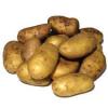 Bulvės | Daržas