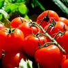 Nauda organizmui ir kitos domybs apie pomidorus