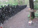 Tvora iš senų dviračių