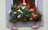 Gėlės batuose