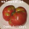 Demidovskyi Demidovskyi